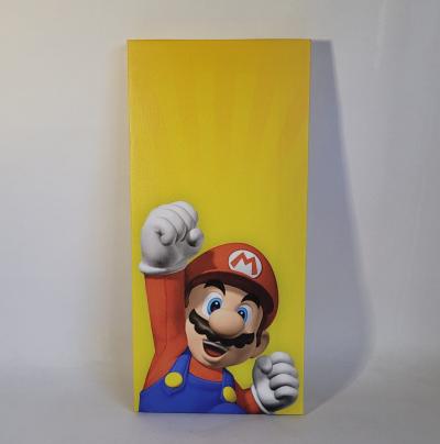 CANVAS PERSONAJE MARIO BROSS 20CM X 42CM